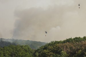 Jau kelias savaites Serbijos rezervatą niokoja gaisras: „Nedaug kas iš tikrųjų suvokia situacijos rimtumą“