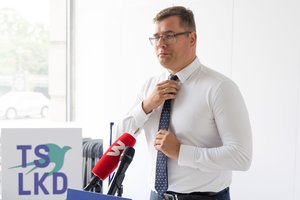 L. Kasčiūnas: tikrai pritarčiau pedofilų registro įteisinimui