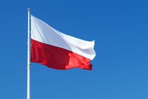 Lenkijoje sulaikytas vyras, kaltinamas planavęs pasikėsinimą į aukšto rango politikus