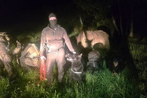 Lietuvos pasieniečių tarnybinis šuo Donas susekė ir padėjo sulaikyti septynis į Latviją įsibrovusius migrantus