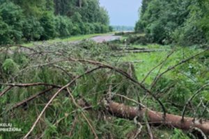 Kelininkai vos spėja suktis – pasipylė vairuotojų pranešimai