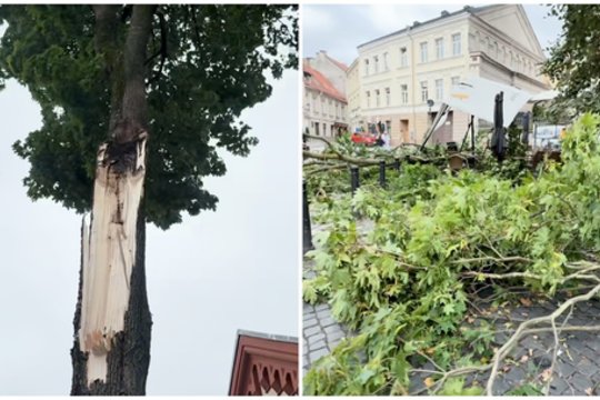 Uraganiniai vėjo gūsiai neaplenkė ir Vilniaus: parodė, kaip nusiaubė