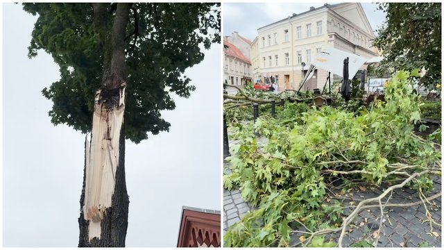 Uraganiniai vėjo gūsiai neaplenkė ir Vilniaus: parodė, kaip nusiaubė