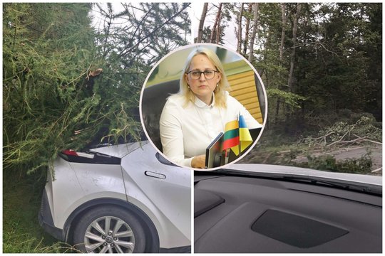 Audra nesirenka: skaudžiai kliuvo ir Seimo valstietės L. Girskienės automobiliui
