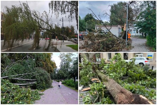 „Pasismagino negailėdama“: iš Grindos – naujausia informacija apie audros padarinius Vilniuje