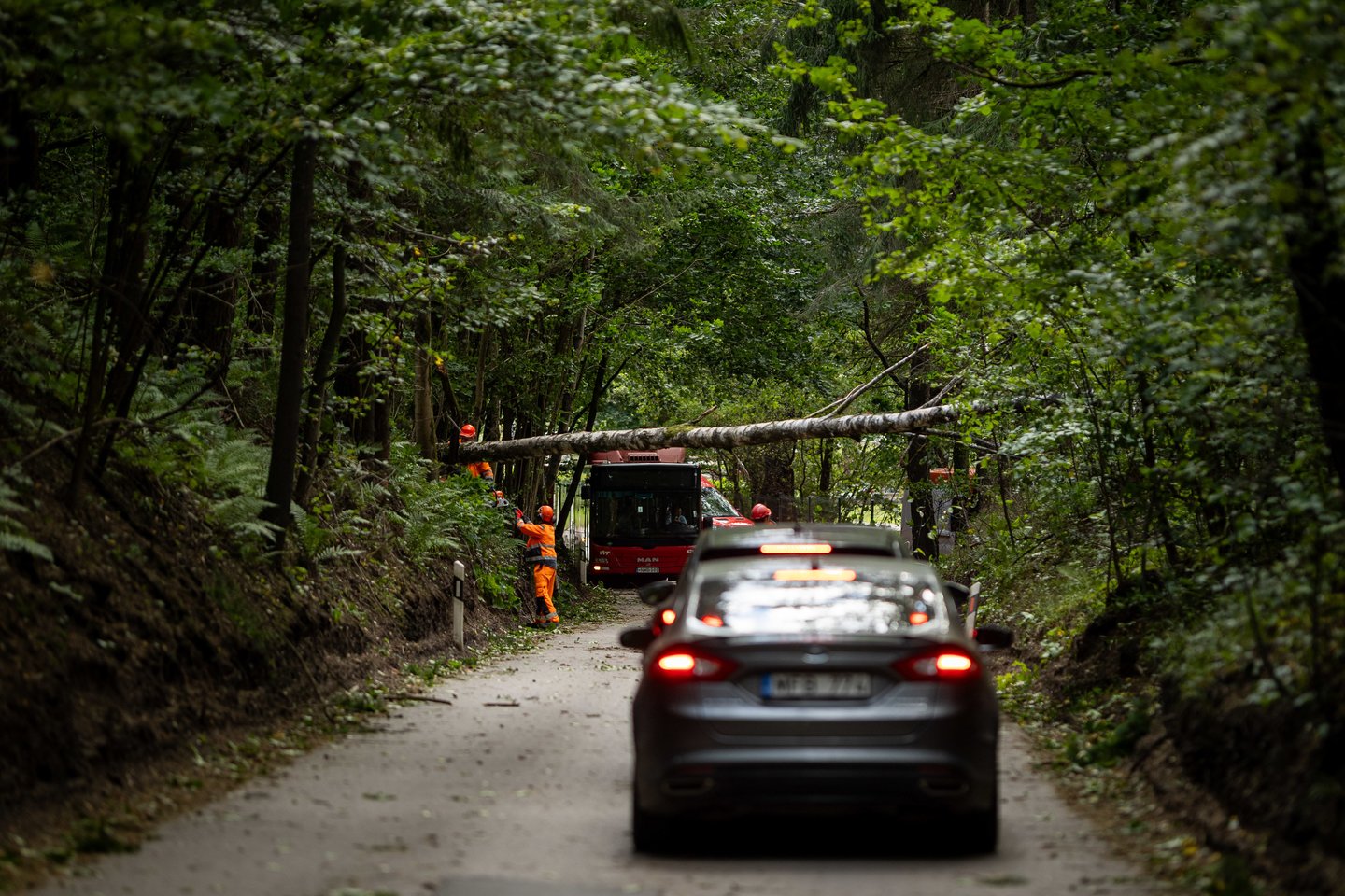 Šeštadienį Lietuvoje praūžus audrai, elektros sekmadienio rytą neturi dar 219 tūkst. šalies gyventojų.<br> E. Rauluševičiaus / ELTA nuotr.