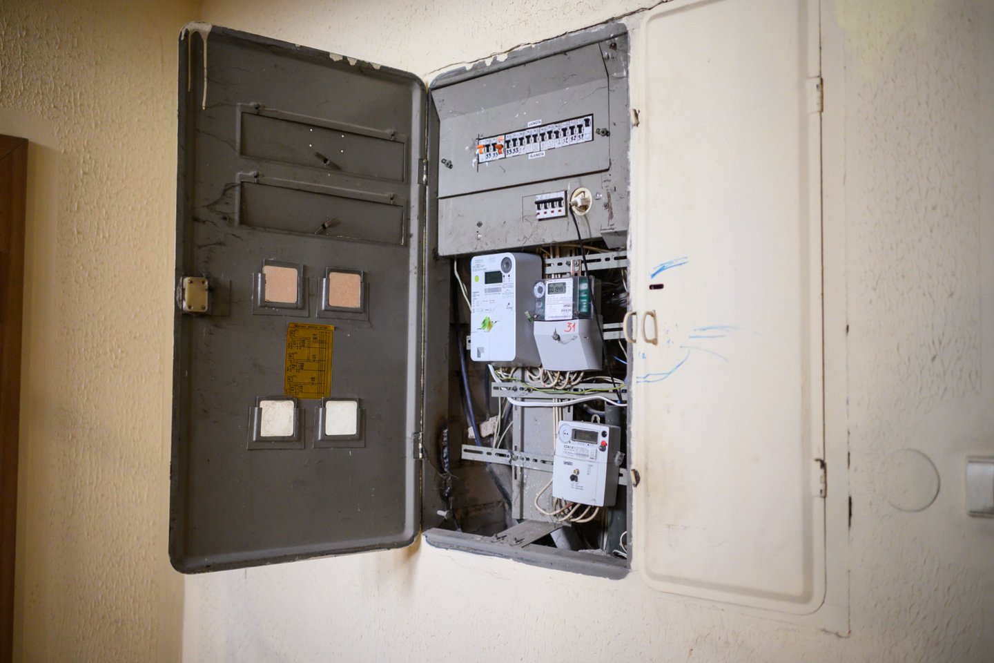 Elektros tiekimo sutrikimas gali reikšti ne tik kelias valandas be šviesos.<br>V.Skaraičio nuotr.