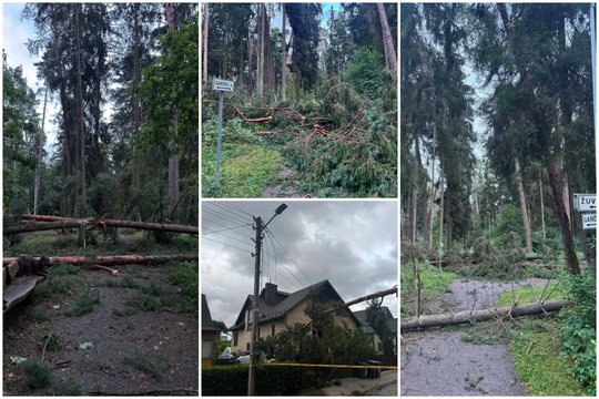 Audra nusiaubė Panemunės šilą: vaikščioti labai pavojinga