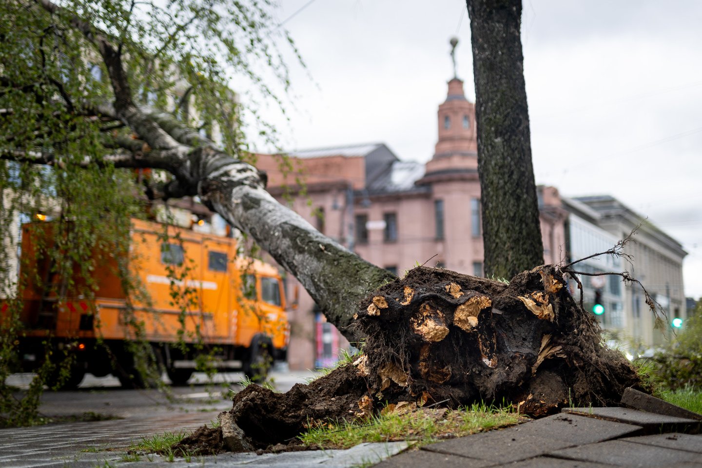 „Energijos skirstymo operatorius“ (ESO) sekmadienį tęsia stichijos padarinių šalinimą. Visoje šalyje, kaip parneša tarnyba, dirba sustiprintos pajėgos – 155 ESO ir 65 rangovų operatyvinių brigadų. Elektros tiekimas yra sutrikęs 208 211 klientų.<br>E. Rauluševičiaus / ELTA nuotr.
