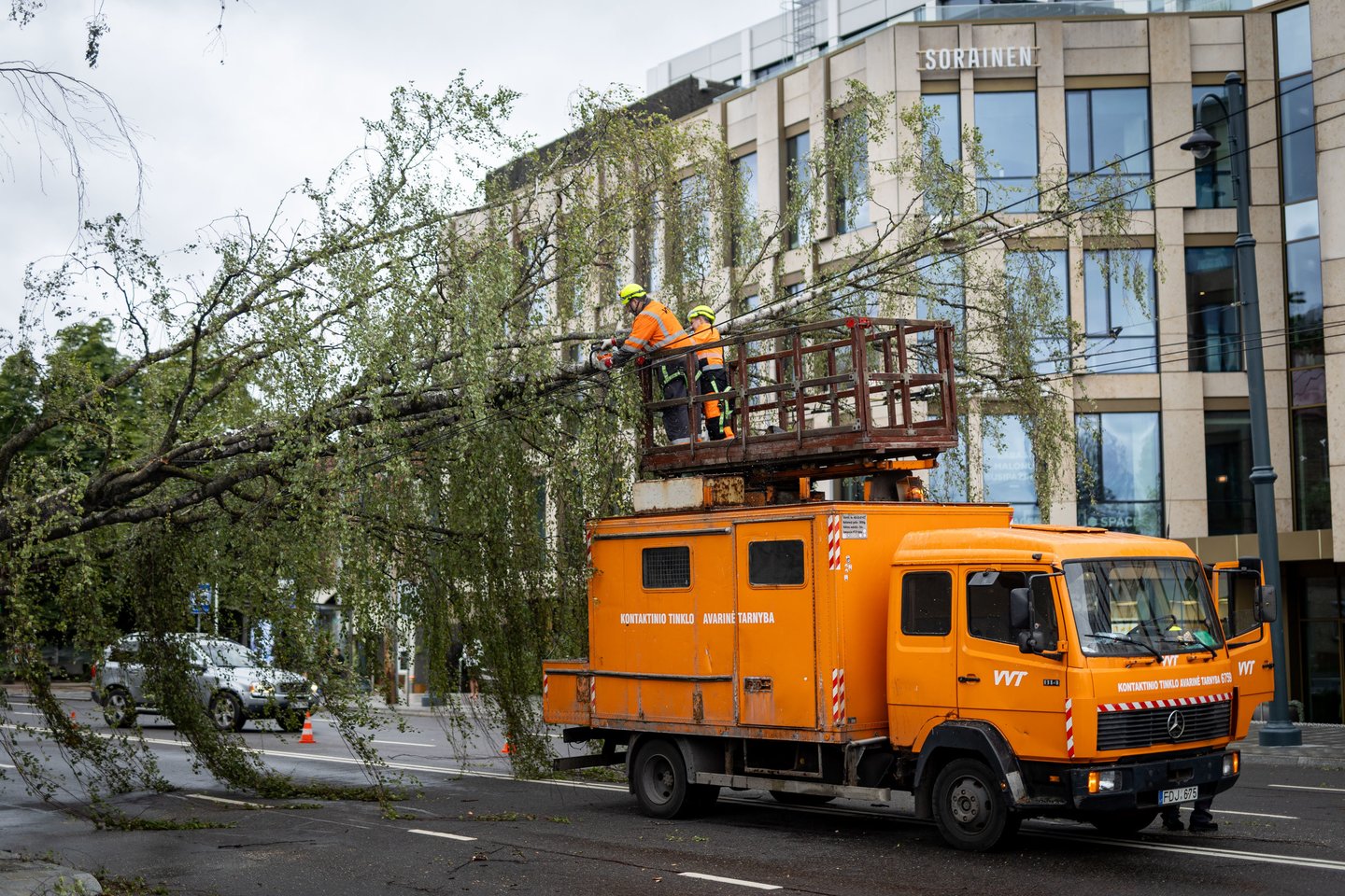 „Energijos skirstymo operatorius“ (ESO) sekmadienį tęsia stichijos padarinių šalinimą. Visoje šalyje, kaip parneša tarnyba, dirba sustiprintos pajėgos – 155 ESO ir 65 rangovų operatyvinių brigadų. Elektros tiekimas yra sutrikęs 208 211 klientų.<br>E. Rauluševičiaus / ELTA nuotr.