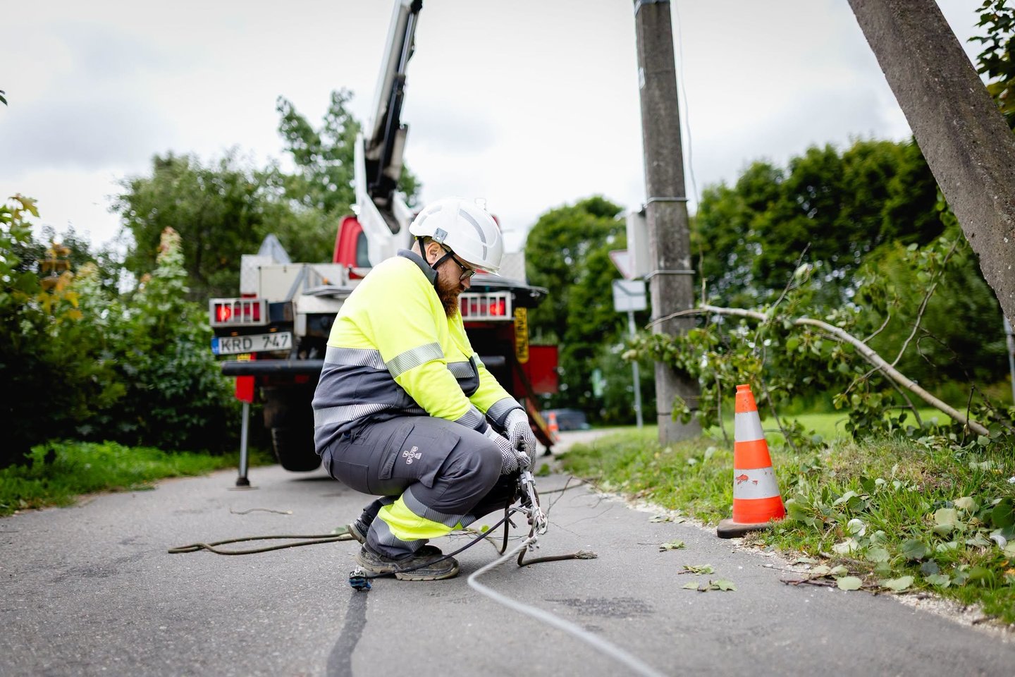 Energetikos ministras Lukas Savickas ir Energijos skirstymo operatoriaus (ESO) vadovas Renaldas Radvila sekmadienio pavakare Trakų rajone komentuoja pakomentavo audros padarinius ir jų šalinimo darbus.<br>ESO nuotr.