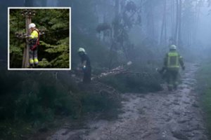 Audra skaudžiai smogė Varėnai: ragina neiti į miškus – mirtinas pavojus