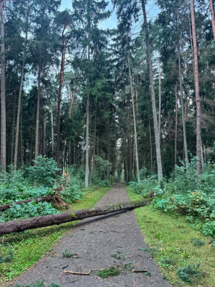 Audra nusiaubė Panemunės