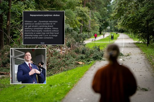 Savivaldybės sprendimas po audros kai kuriuos privertė kilstelėti antakį: ar tikrai to reikėjo?