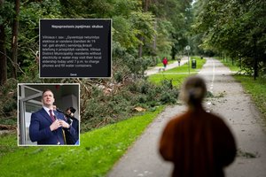 Savivaldybės sprendimas po audros kai kuriuos privertė kilstelėti antakį: ar tikrai to reikėjo?