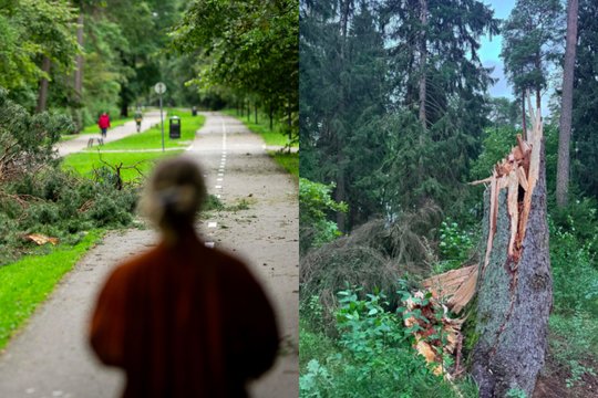 Po siautusios stichijos – skubus pasitarimas Vyriausybėje