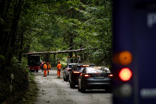 Antra diena po stichijos: Vilniuje padariniai vis dar šalinami, „Grinda“ sulaukė per 700 pranešimų