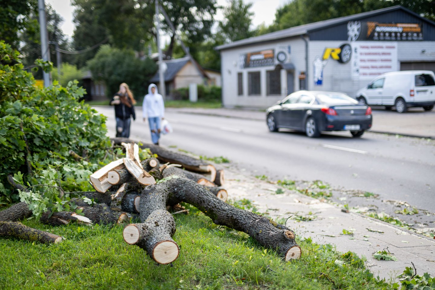 Audros padariniai Vilniuje. <br>E. Rauluševičiaus/ELTA nuotr.
