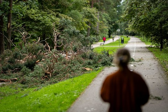 Išliks vėsu, vėjuota ir lietinga: sinoptikė atsakė, kada situacija ims keistis