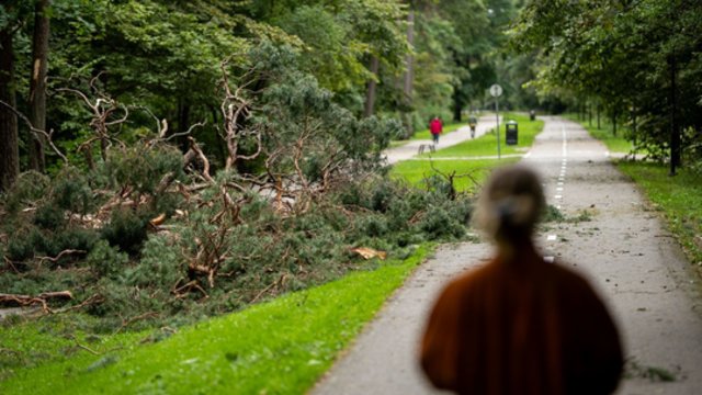 Išliks vėsu, vėjuota ir lietinga: sinoptikė atsakė, kada situacija ims keistis