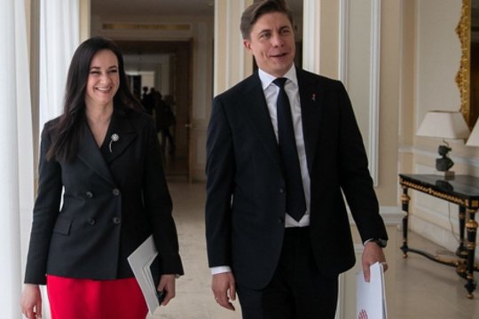 I. Ruginienė: „M. Sinkevičius nesuteikė pagrindo juo nepasitikėti“