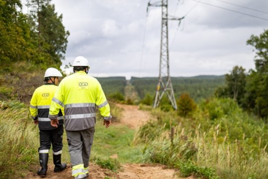 Tūkstančiams vis dar neturint elektros L. Savickas bedė pirštu į ESO: turėtų atsiprašyti
