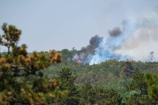 Rusams – dar viena bėda: gaisrai tokio dydžio, kad sunku net įsivaizduoti
