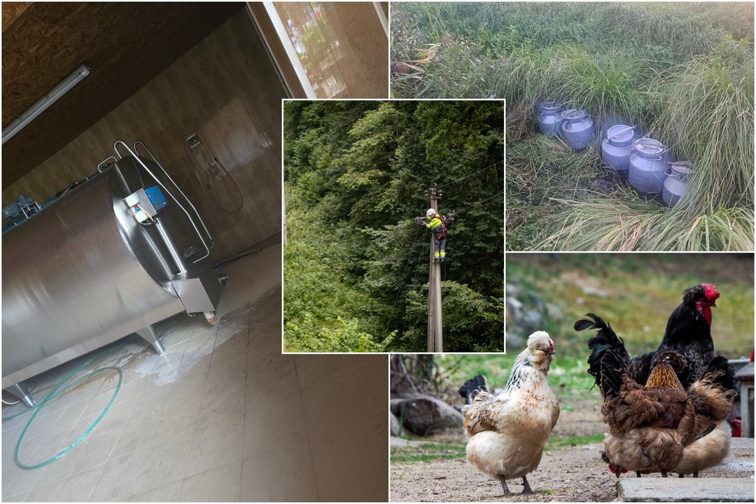 Košmariškos audros pasekmės ūkiuose: nugaišo dešimtys tūkstančių vištų, pieną tenka šaldyti upelyje