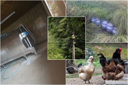 Košmariškos audros pasekmės ūkiuose: nugaišo dešimtys tūkstančių vištų, pieną tenka šaldyti upelyje