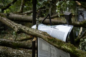 ELTA glaustai: savaitgalio audros padariniai, nauja LRT tarybos narė, Armėnijos ketinimai stoti į ES