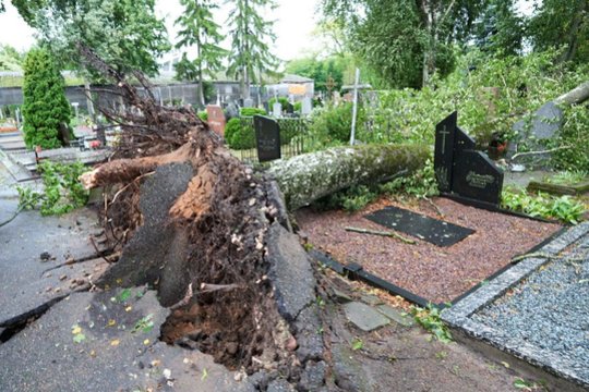 „Širdis plyšta“: po audros išvydę kapus negalėjo patikėti, ką regi