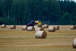 Ūkio sezonas nelaukia: Klaipėdos kredito unija ūkininkams siūlo prie jų veiklos ciklo pritaikytą finansavimą