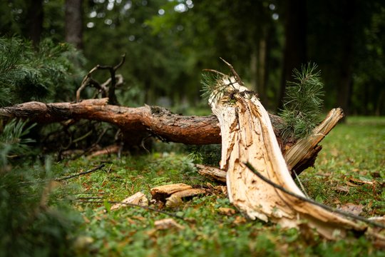 Audra tapo Lietuvos civilinės saugos testu: „Šita krizė apnuogino tą mūsų nepasirengimą“