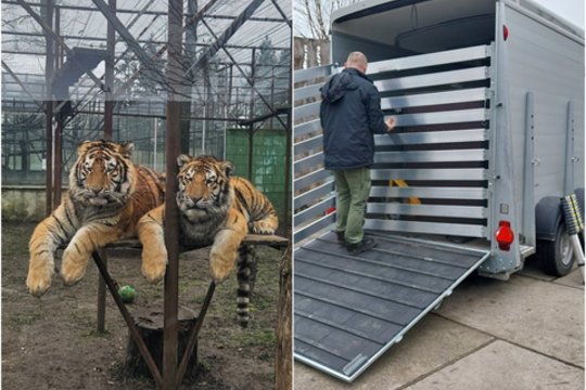 Klaipėdos zoologijos sode – sukrečiantis vaizdas ir įtarimai: kai kurių gyvūnų būklė gali būti kritinė