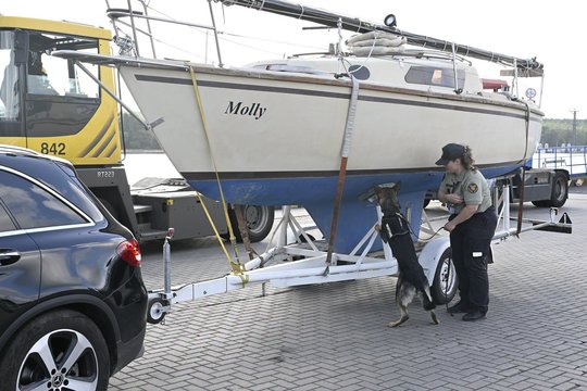 Šie neeiliniai keturkojai pareigūnai tarnauja Lietuvai: atskleidė, ką iš tiesų sugeba
