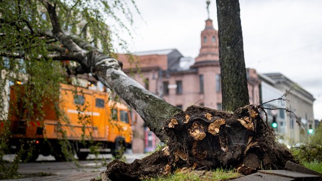 Vyriausybei paskelbus ekstremaliąją padėtį – žvilgsnis į ES: žada prašyti paramos