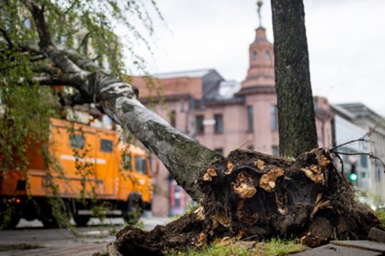 Vyriausybei paskelbus ekstremaliąją padėtį – žvilgsnis į ES: žada prašyti paramos