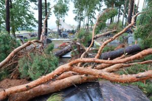 ELTA glaustai: dėl audros padarinių Vyriausybė paskelbė valstybės lygio ekstremaliąją situaciją