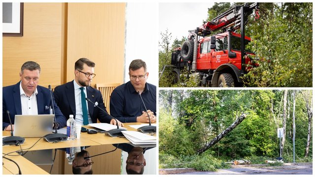Lenkams tiesiant pagalbos ranką – diskusijos apie elektros tinklo ateitį: siūlo vieną priemonę