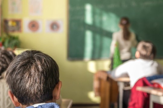 Vis dar neaišku, kas ugdys dalį moksleivių: įvardijo, ko labiausiai trūksta