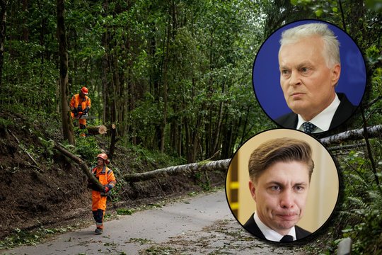 Įvertino reakcijas į audros padarinius: pavėlavo visi, o kai kurie – nepateisinamai