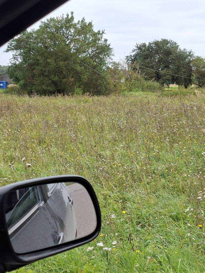 Į naujienų portalą Lrytas kreipėsi Vilkaviškio rajono Norvaišų kaimo gyventoja Laura Talutienė, teigdama, kad jos šeima po praėjusią savaitę Lietuvą talžiusios audros vis dar be elektros.<br>L. Talutienės nuotr.