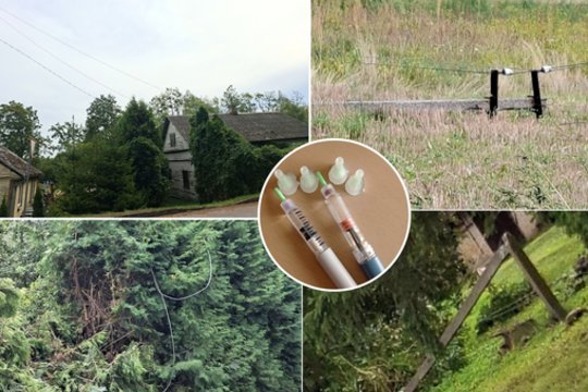 Lauros mama dėl dingusios elektros pateko į gyvybei pavojingą situaciją – tokių kaip ji gali būti tūkstančiai