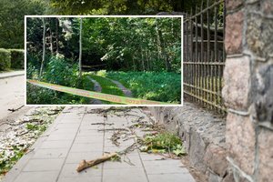 Moksleivis dar nežino, ar spės atšvęsti Rugsėjo 1-ąją: ESO iki šiol nuo vienintelio kelio nepatraukia pavojingų laidų