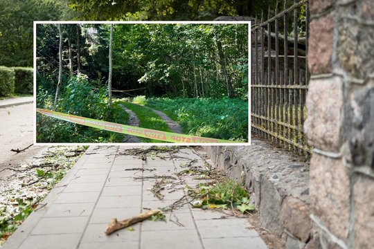 Moksleivis dar nežino, ar spės atšvęsti Rugsėjo 1-ąją: ESO iki šiol nuo vienintelio kelio nepatraukia pavojingų laidų