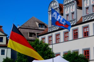 F. Merzas: AfD pergalė rinkimuose Saksonijos-Anhalto žemėje padarytų didelę žalą