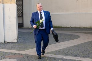 Finansų ministras susitiko su ESO ir „Ignitis grupės“ vadovais: aiškinsis, kas atsakingas už klaidas