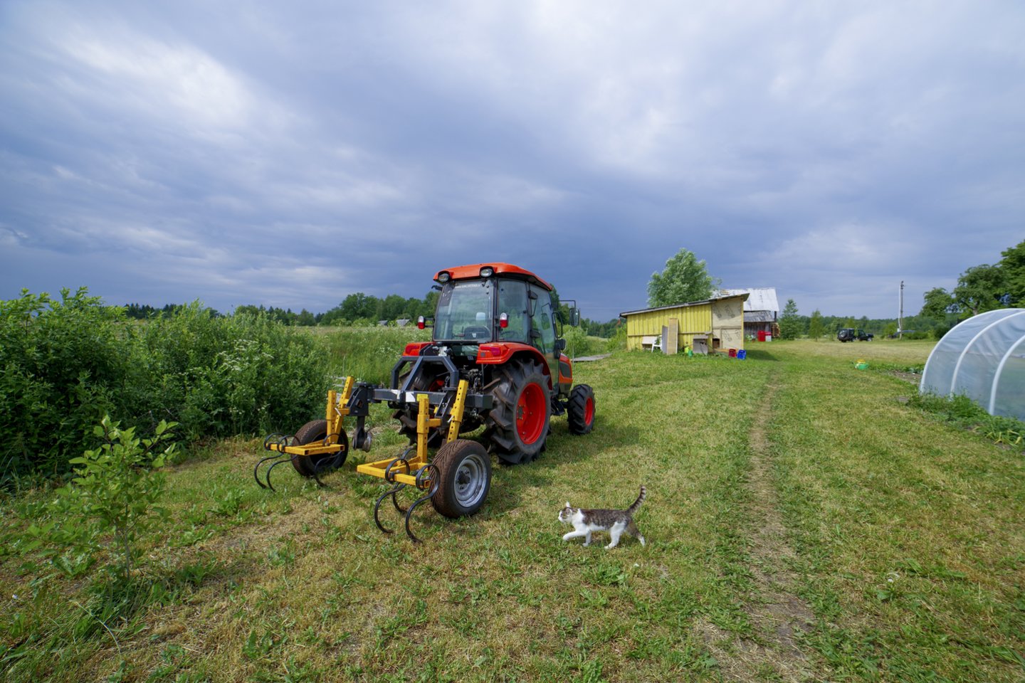 Rugsėjo pradžia gyventojams ir verslui atnešė nemažai pokyčių.<br>V.Ščiavinsko nuotr.