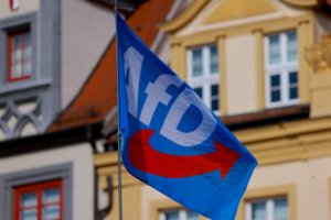 Rinkimų ekspertas: AfD sulaukia palaikymo visose gyventojų grupėse