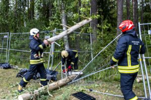 Draudimo įmonėms teks plačiai praverti pinigines: audros padaryta žala viršija 13 mln. eurų